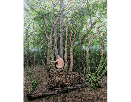 NATURALEZA DESNUDA 61x50 cm.