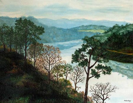 PAISAJE CON RIO 46x55x2 (2,5 kg)