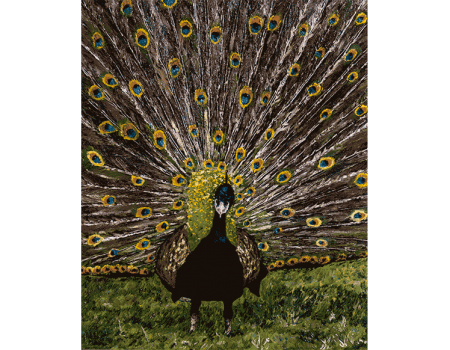 PAVO REAL 65x54x2 (2,9 kg)